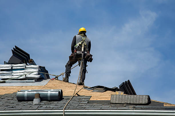 Professional Roof Replacement technician working in Lowpoint, IL